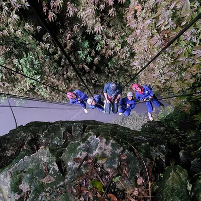 A group in helmets and harnesses on ropes in a fern-covered canyon, New Zealand.
